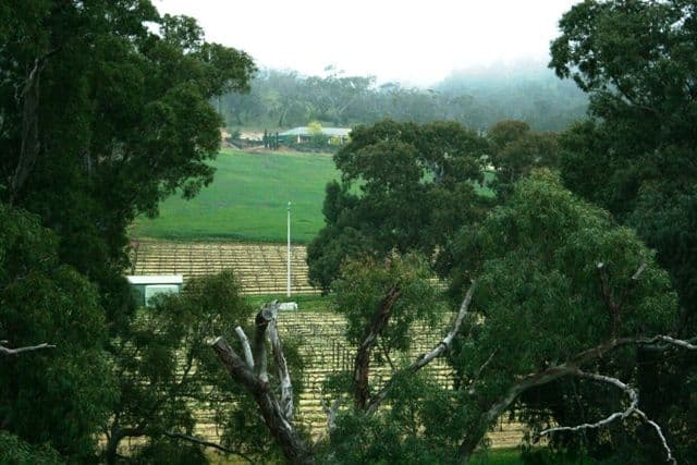 Lot 22  Skilly Road, WATERVALE SA 5452, Watervale - Image 1