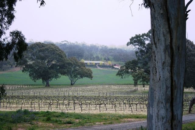 Lot 22  Skilly Road, WATERVALE SA 5452, Watervale - Thumbnail 3
