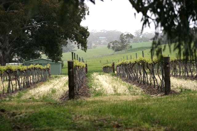 Lot 22  Skilly Road, WATERVALE SA 5452, Watervale - Thumbnail 4