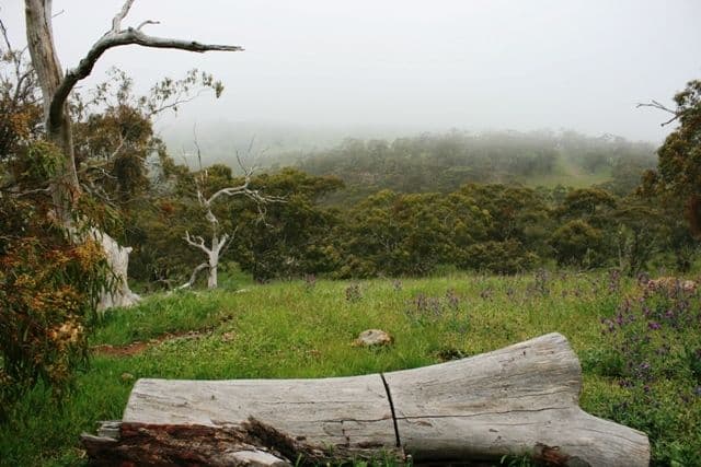 Lot 22  Skilly Road, WATERVALE SA 5452, Watervale - Thumbnail 5