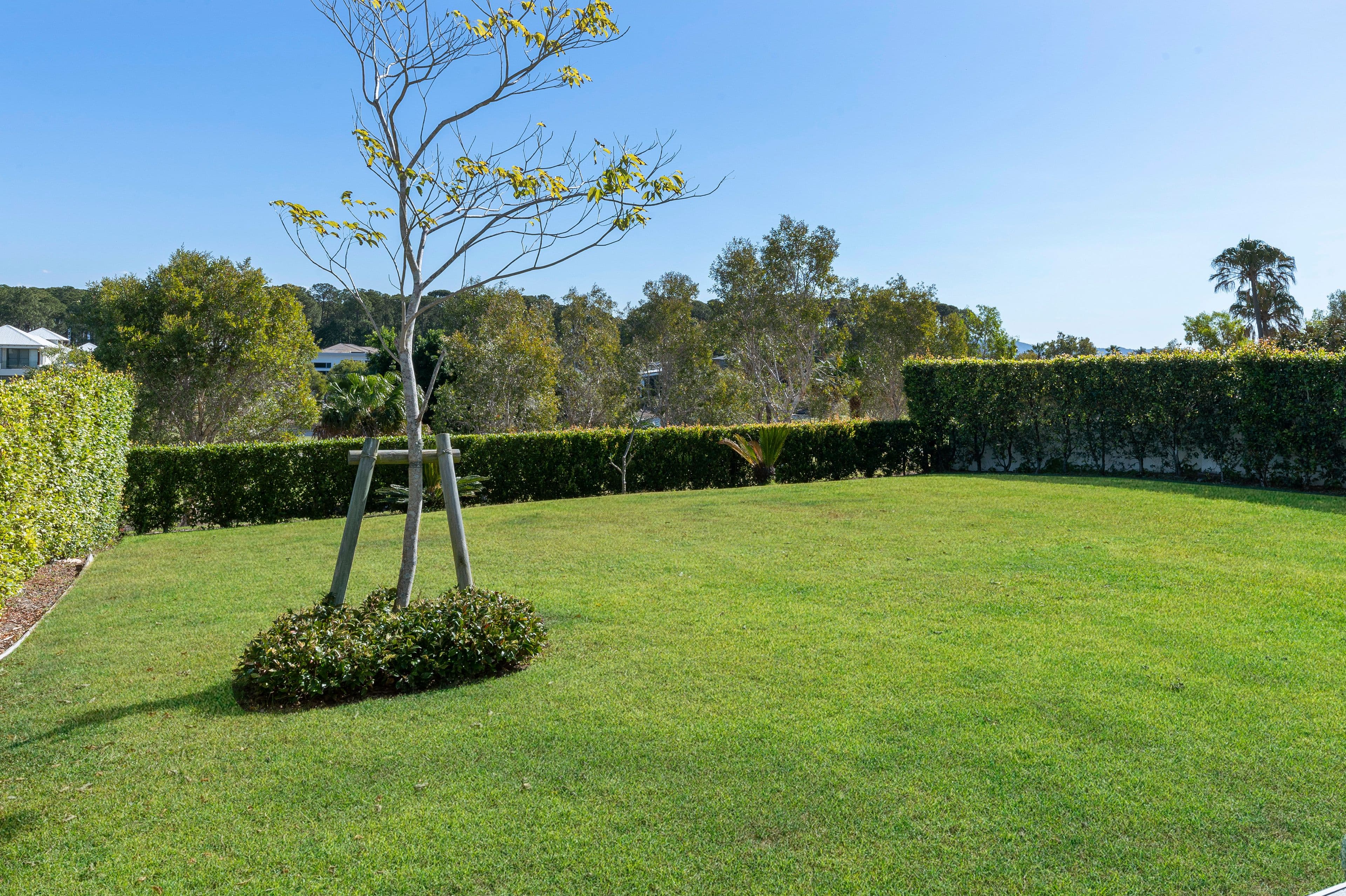2503 The Estate, Sanctuary Cove QLD 4212, Sanctuary Cove - Thumbnail 5