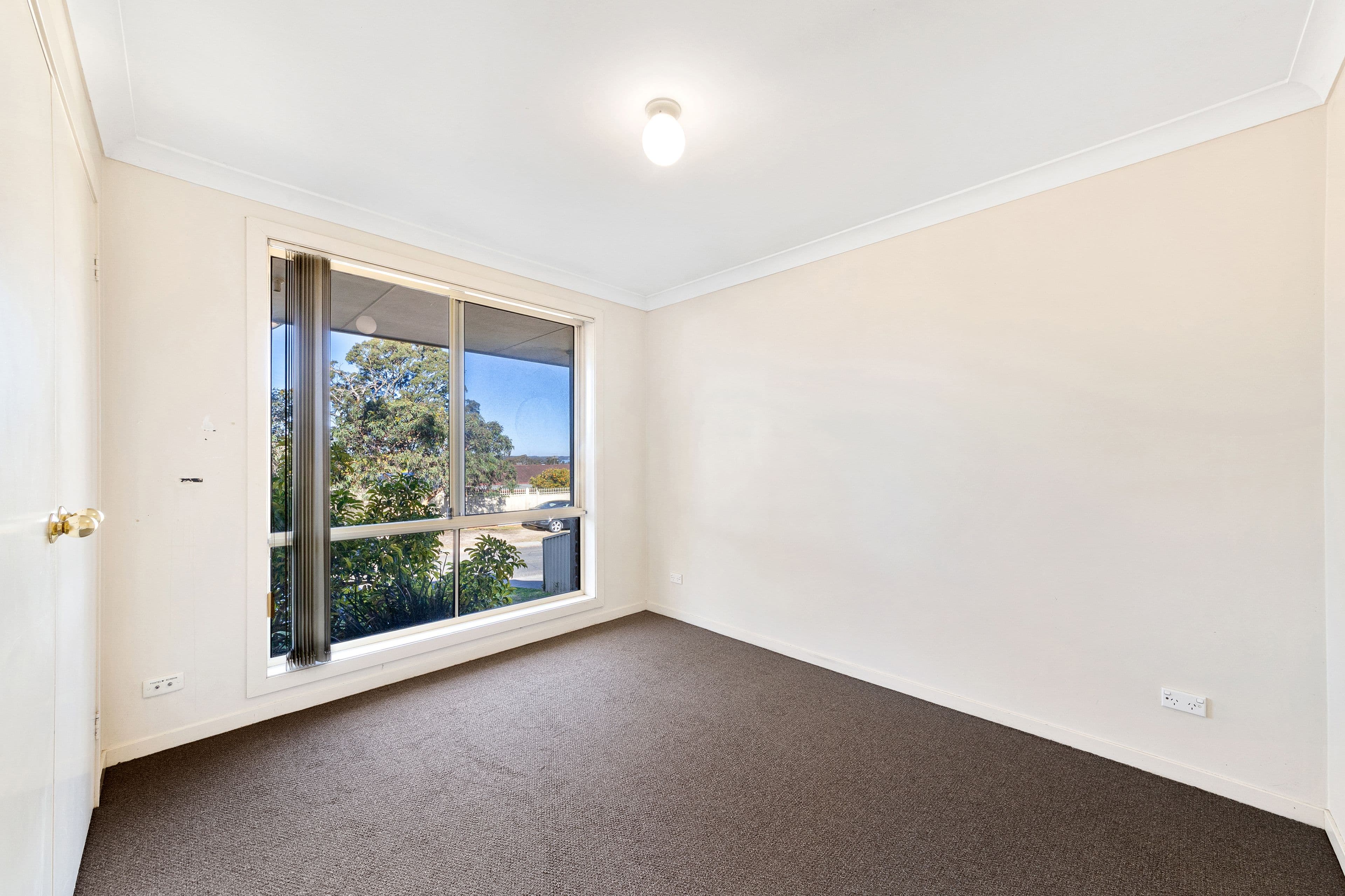 42 Callen Avenue, San Remo NSW 2262, San Remo - Thumbnail 6