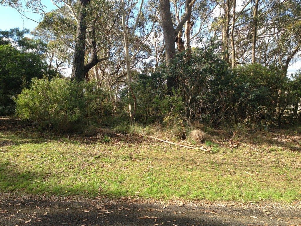 42 Sylvania Street, MOUNT VICTORIA NSW 2786, Mount Victoria - Image 1