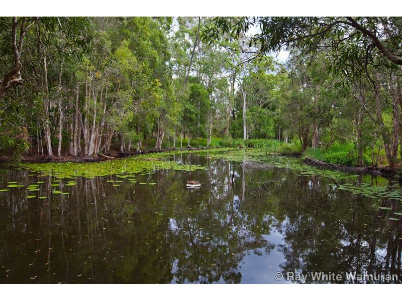 6 Sumsion Road, Wamuran QLD 4512, Wamuran - Thumbnail 6
