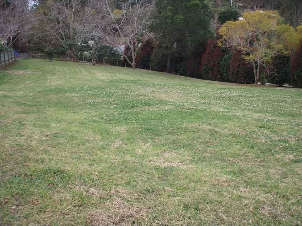 5 Coolibah Court, MIDDLE RIDGE QLD 4350, Middle Ridge - Thumbnail 4