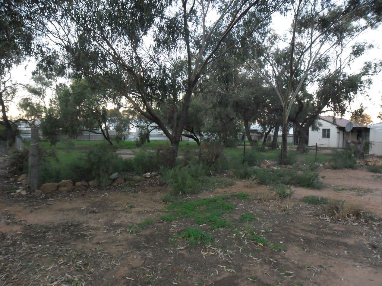 4 & 5 Yarra Street, CARNAMAH WA 6517, Cambroon - Thumbnail 6