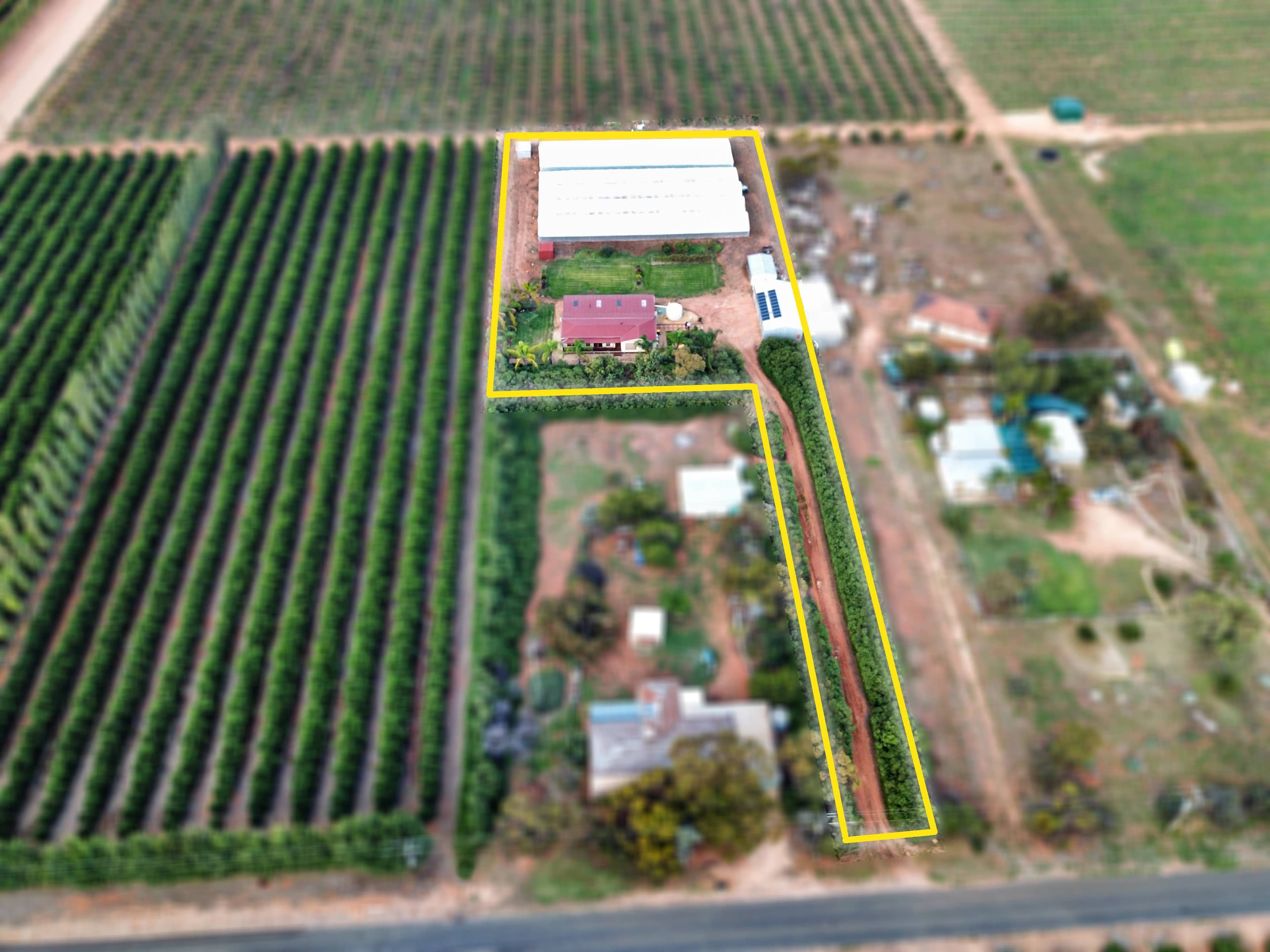 93 Cox Road, Sunlands SA 5322, Sunlands - Thumbnail 2