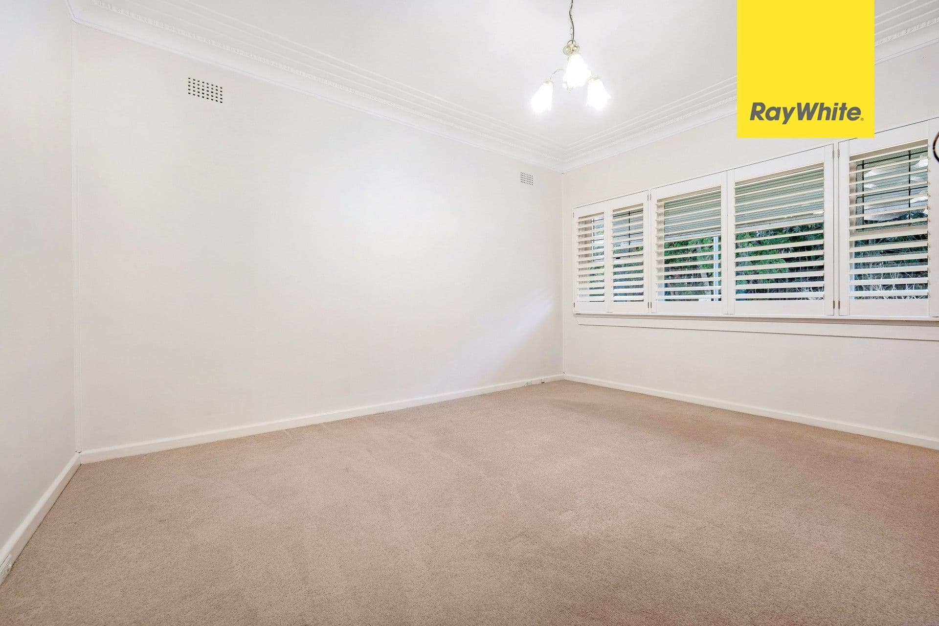 37 William Road, Riverwood NSW 2210, Riverwood - Thumbnail 4