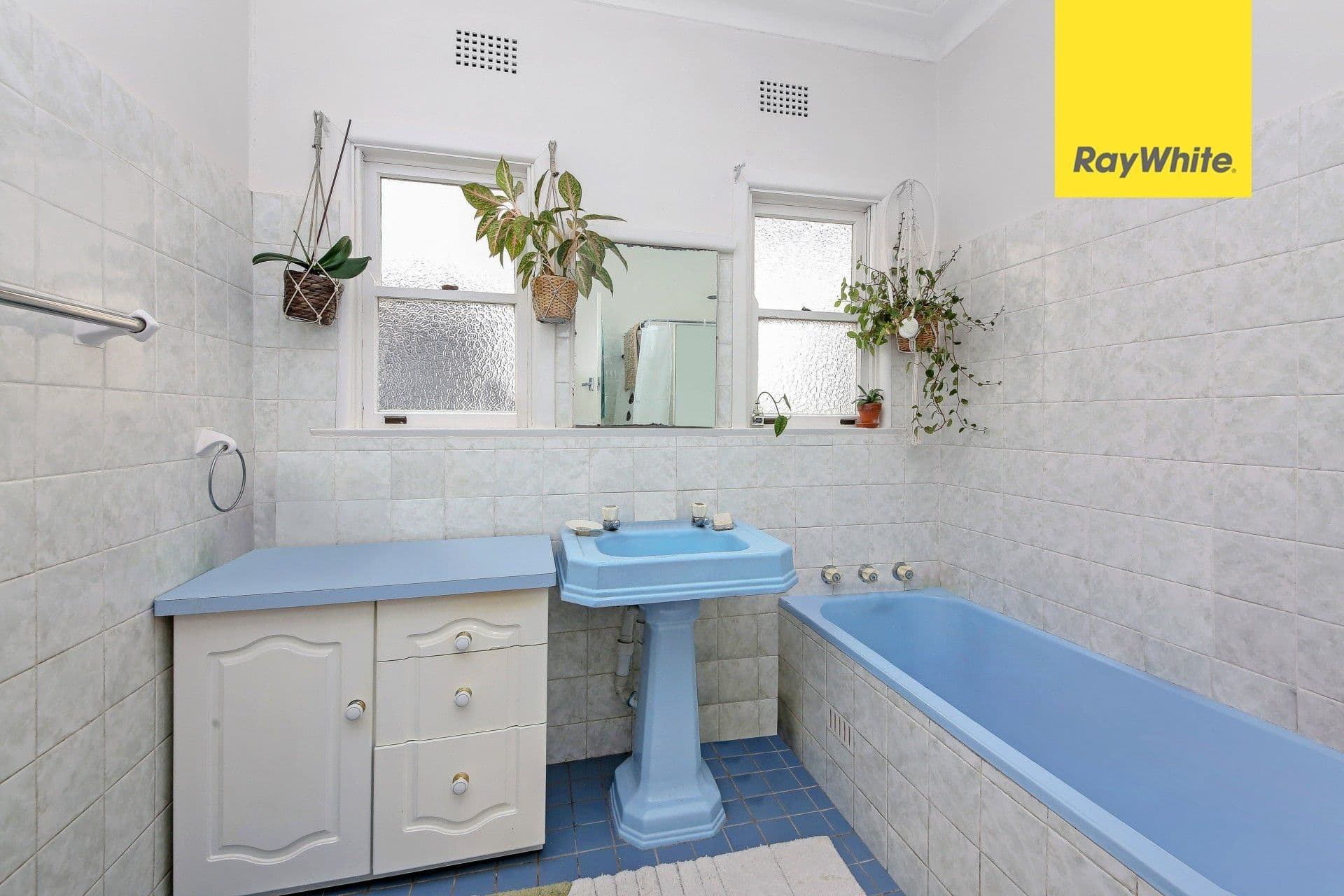 37 William Road, Riverwood NSW 2210, Riverwood - Thumbnail 6