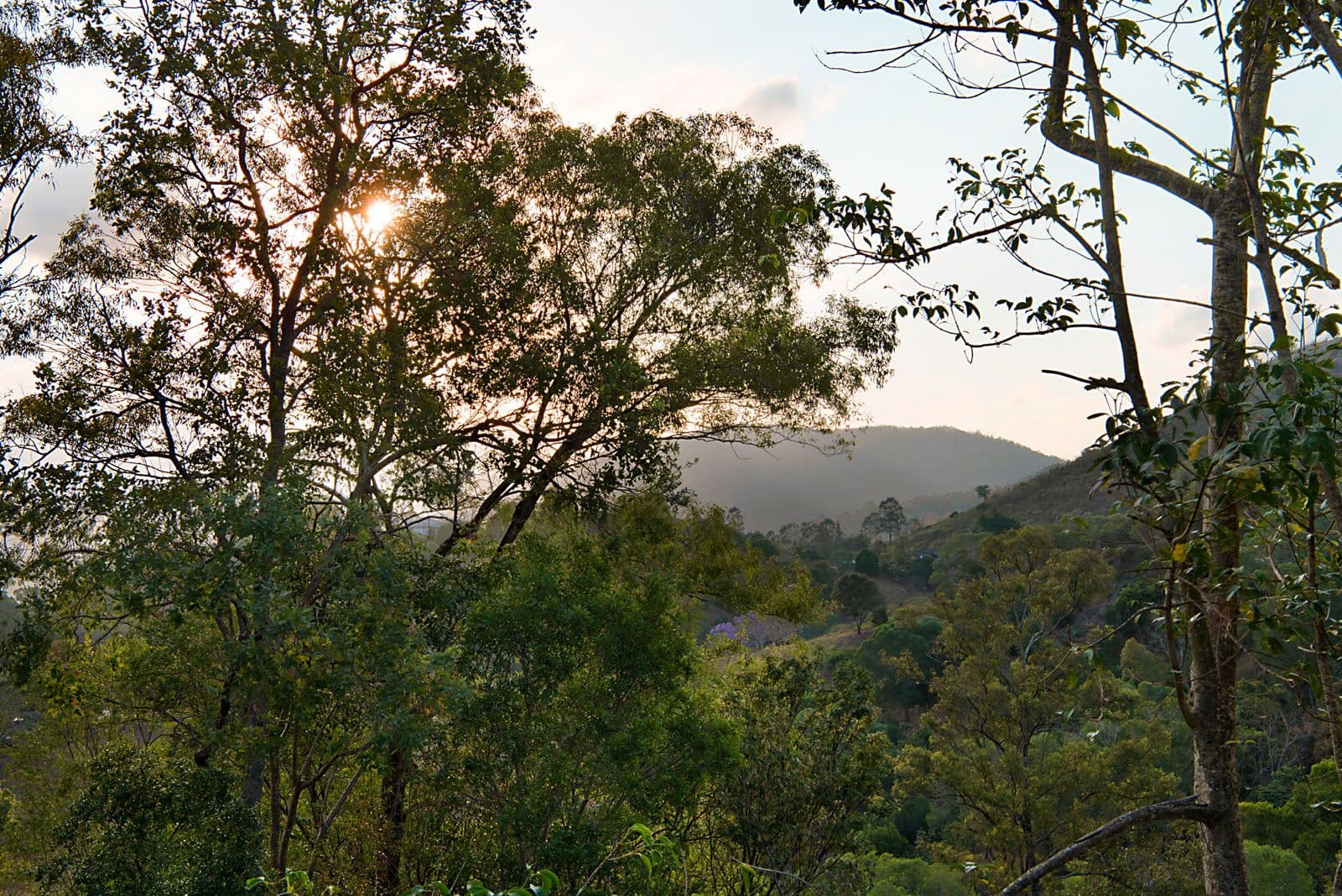 21 Woodglen Court, Samford Valley QLD 4520, Samford Valley - Thumbnail 2