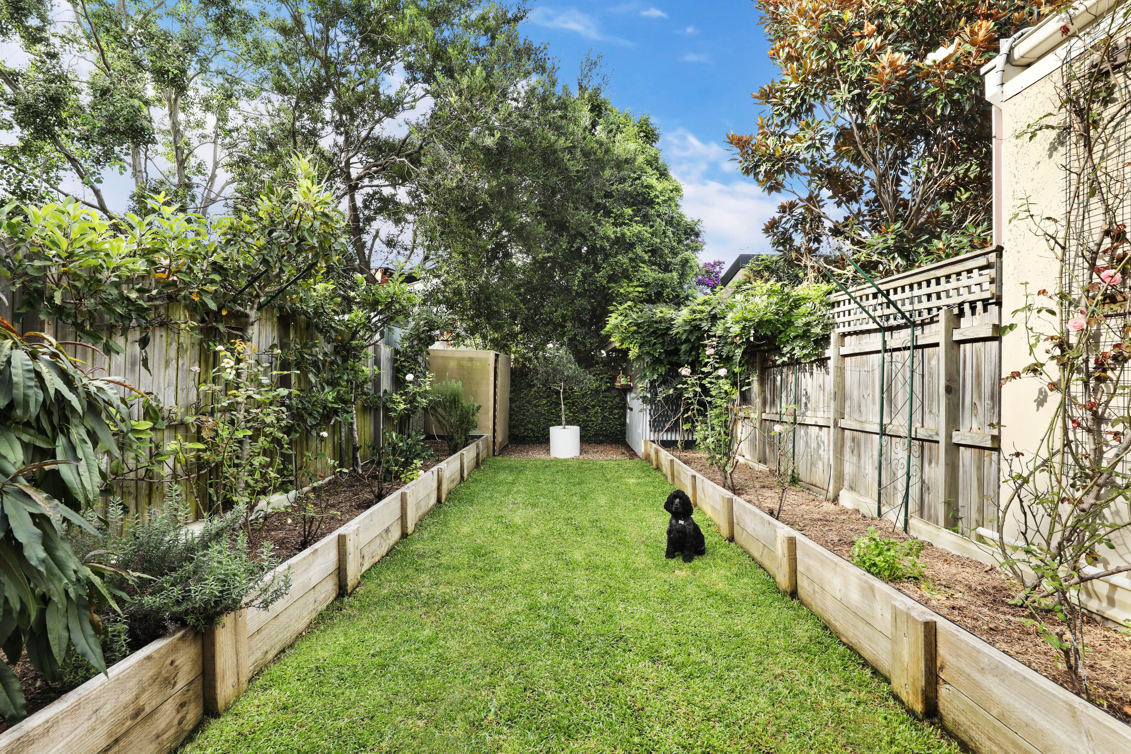 84 Darley Street, Newtown NSW 2042, Newtown - Thumbnail 6
