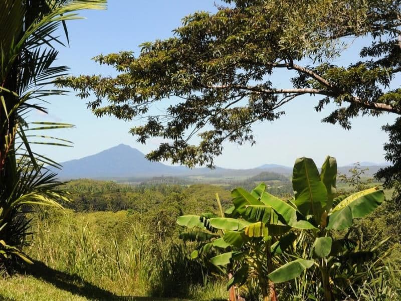 121 MT PERSEVERANCE Road, JULATTEN QLD 4871, Julatten - Thumbnail 2