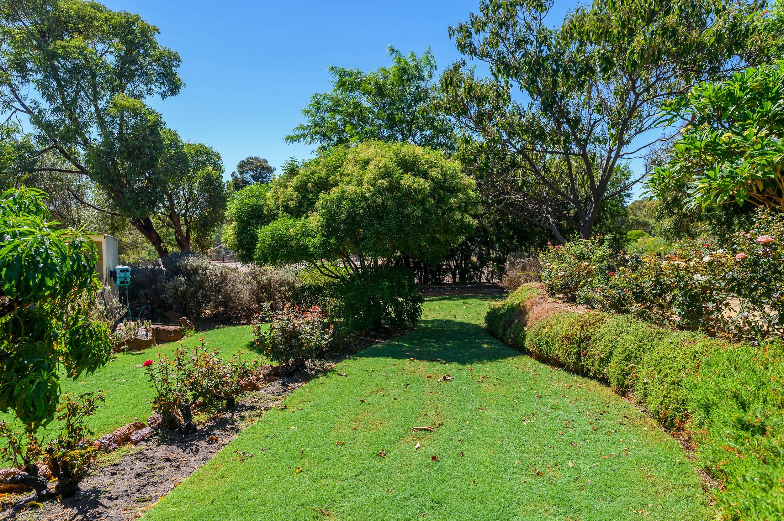 254 Murray Grey Circle, Lower Chittering WA 6084, Lower Chittering - Thumbnail 7