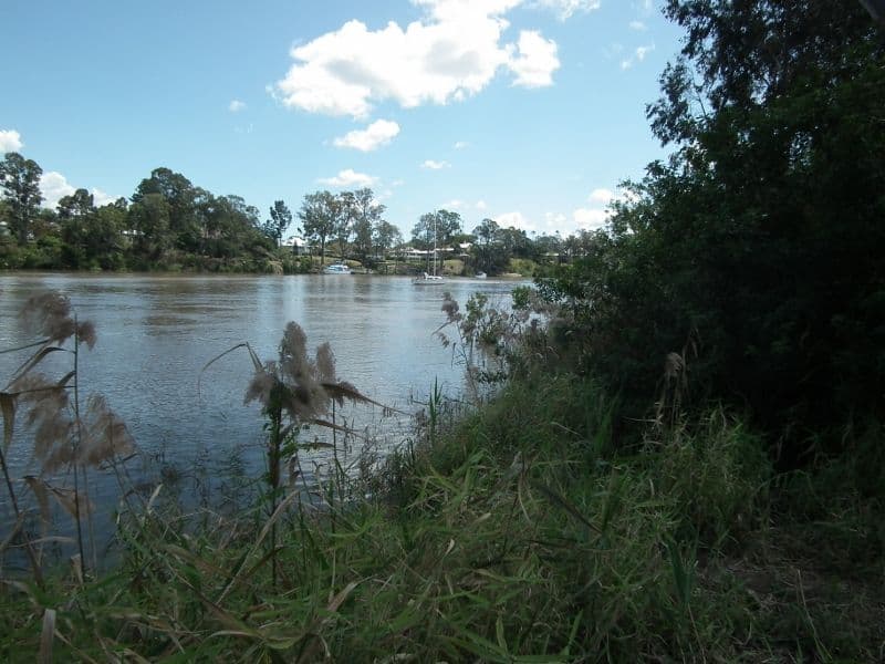 Lot 73 Napier Street, Granville QLD 4650, Granville - Thumbnail 3