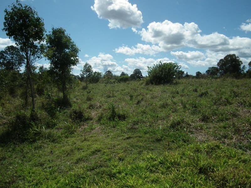 Lot 73 Napier Street, Granville QLD 4650, Granville - Thumbnail 5