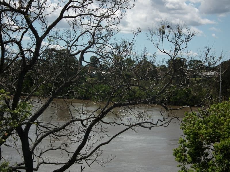 Lot 73 Napier Street, Granville QLD 4650, Granville - Thumbnail 6