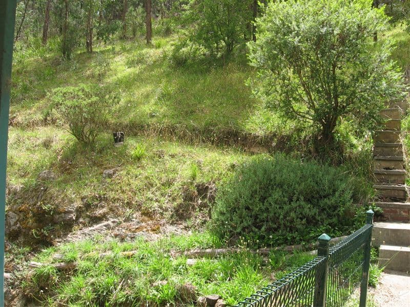 15   Long Gully Road, FLOWERDALE VIC 3717, Flowerdale - Thumbnail 6