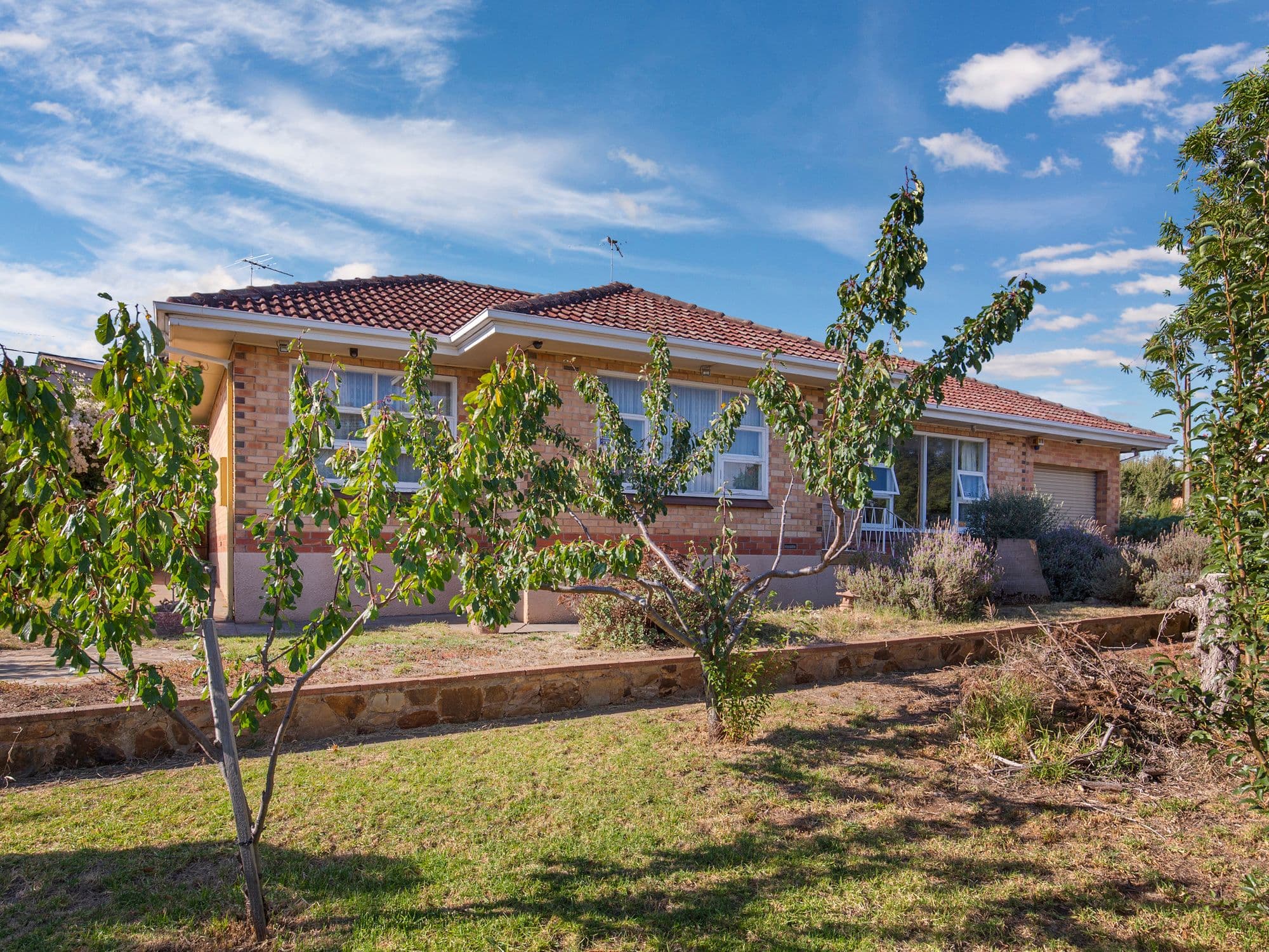 1 Cocks Avenue, Morphett Vale SA 5162, Morphett Vale - Thumbnail 2
