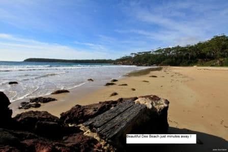22 Pine Street, BENDALONG NSW 2539, Bendalong - Thumbnail 5