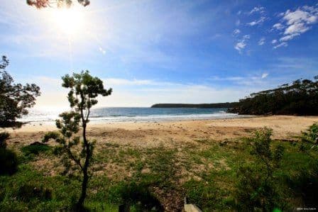 22 Pine Street, BENDALONG NSW 2539, Bendalong - Thumbnail 6