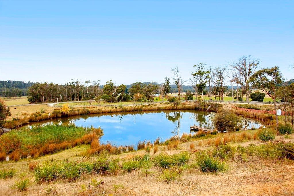 3125 West Tamar Highway, LOIRA TAS 7275, Loira - Thumbnail 5