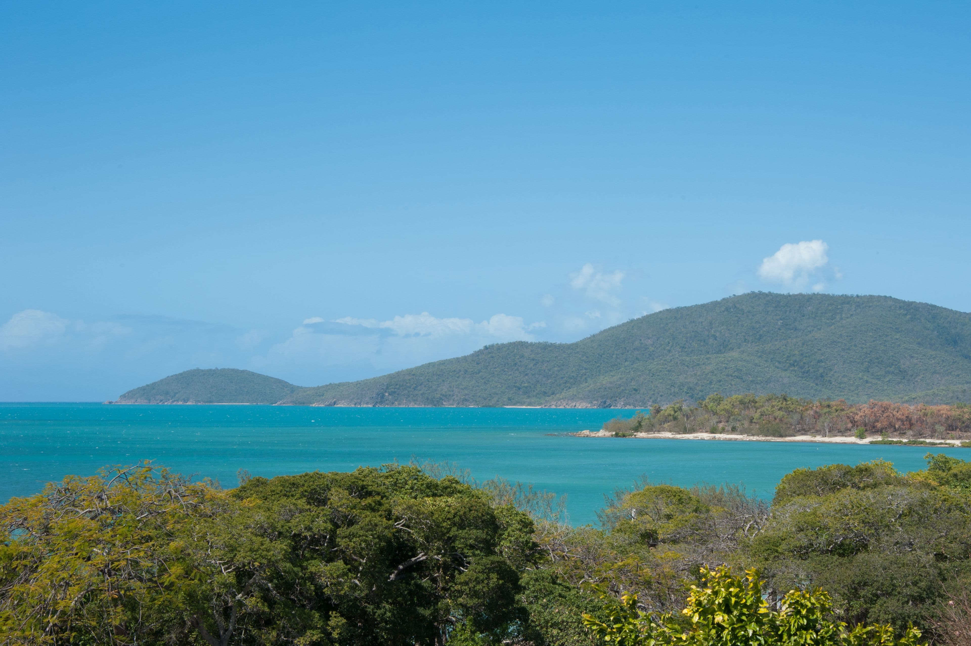 7 Cowry Crescent, Dingo Beach QLD 4800, Dingo Beach - Thumbnail 3