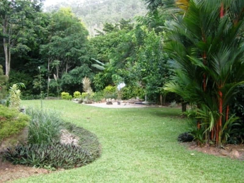 59  Vico Street, GORDONVALE QLD 4865, Gordonvale - Thumbnail 2