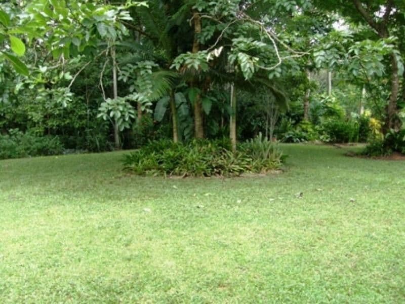 59  Vico Street, GORDONVALE QLD 4865, Gordonvale - Thumbnail 6