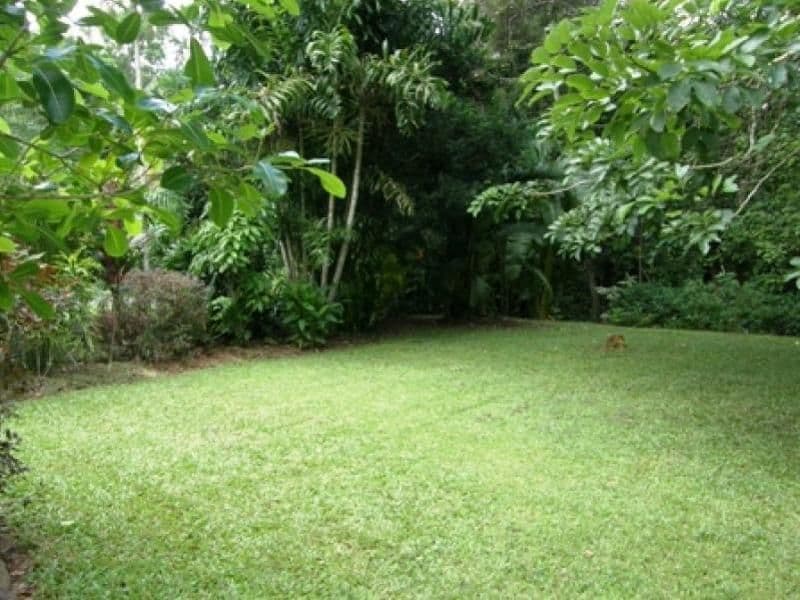 59  Vico Street, GORDONVALE QLD 4865, Gordonvale - Thumbnail 8