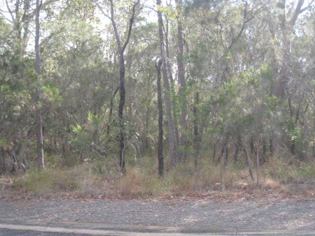 10 Carissa Street, RUSSELL ISLAND QLD 4184, Russell Island - Thumbnail 2