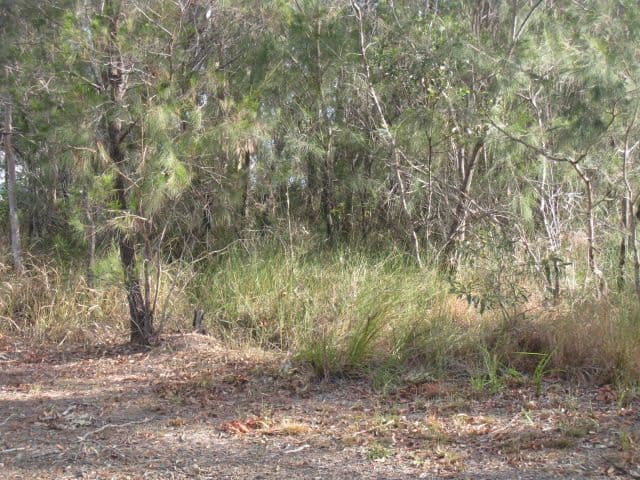 10 Carissa Street, RUSSELL ISLAND QLD 4184, Russell Island - Thumbnail 3