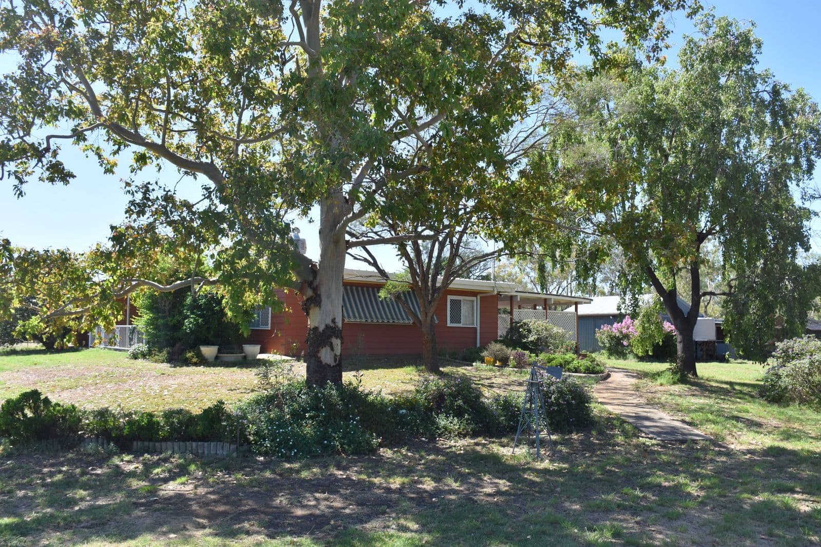 39 Kooroogamma Road, Moree NSW 2400, Moree - Thumbnail 3