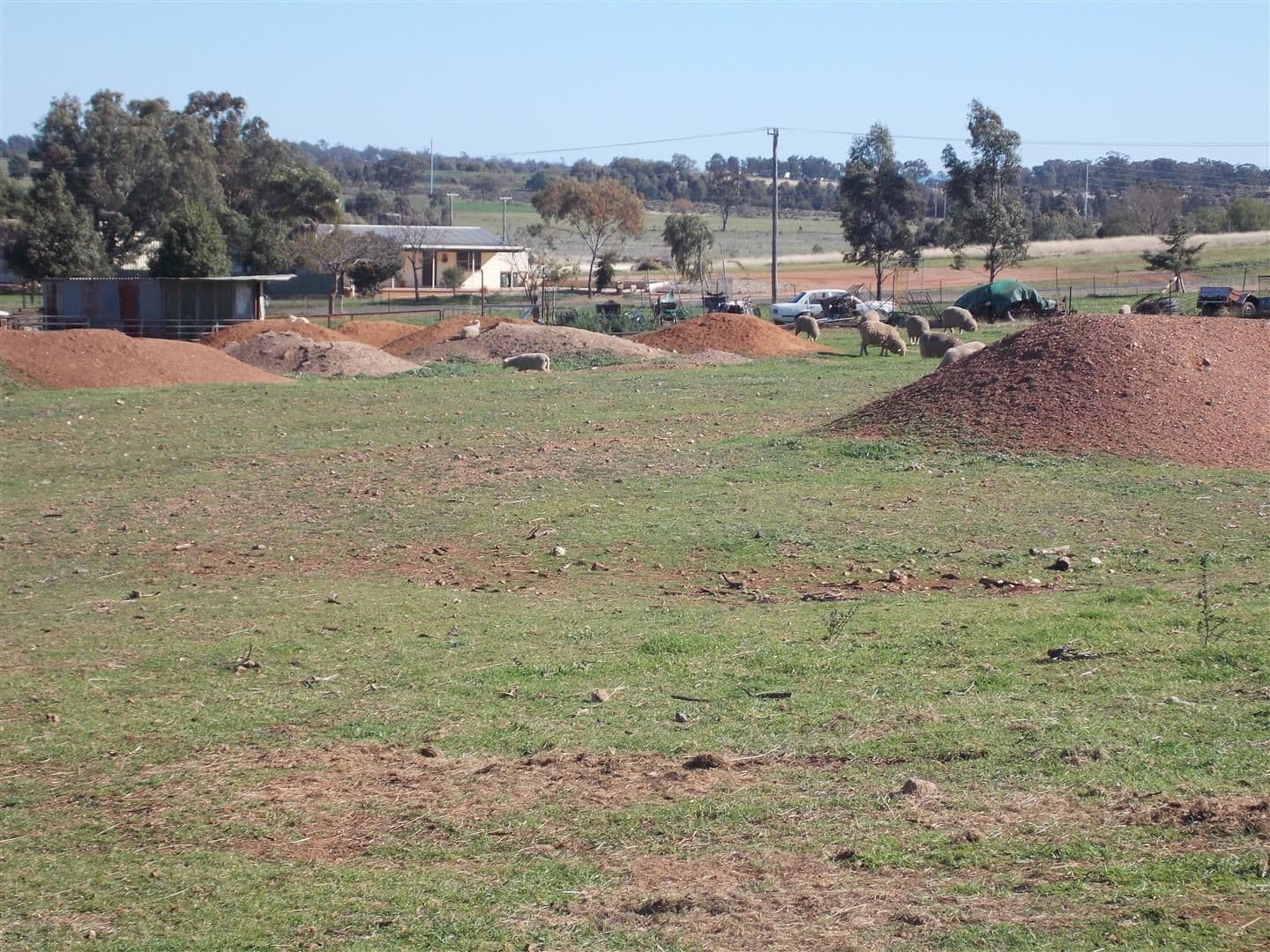 135-139 Mitchell Street, PARKES NSW 2870, Parkes - Thumbnail 2