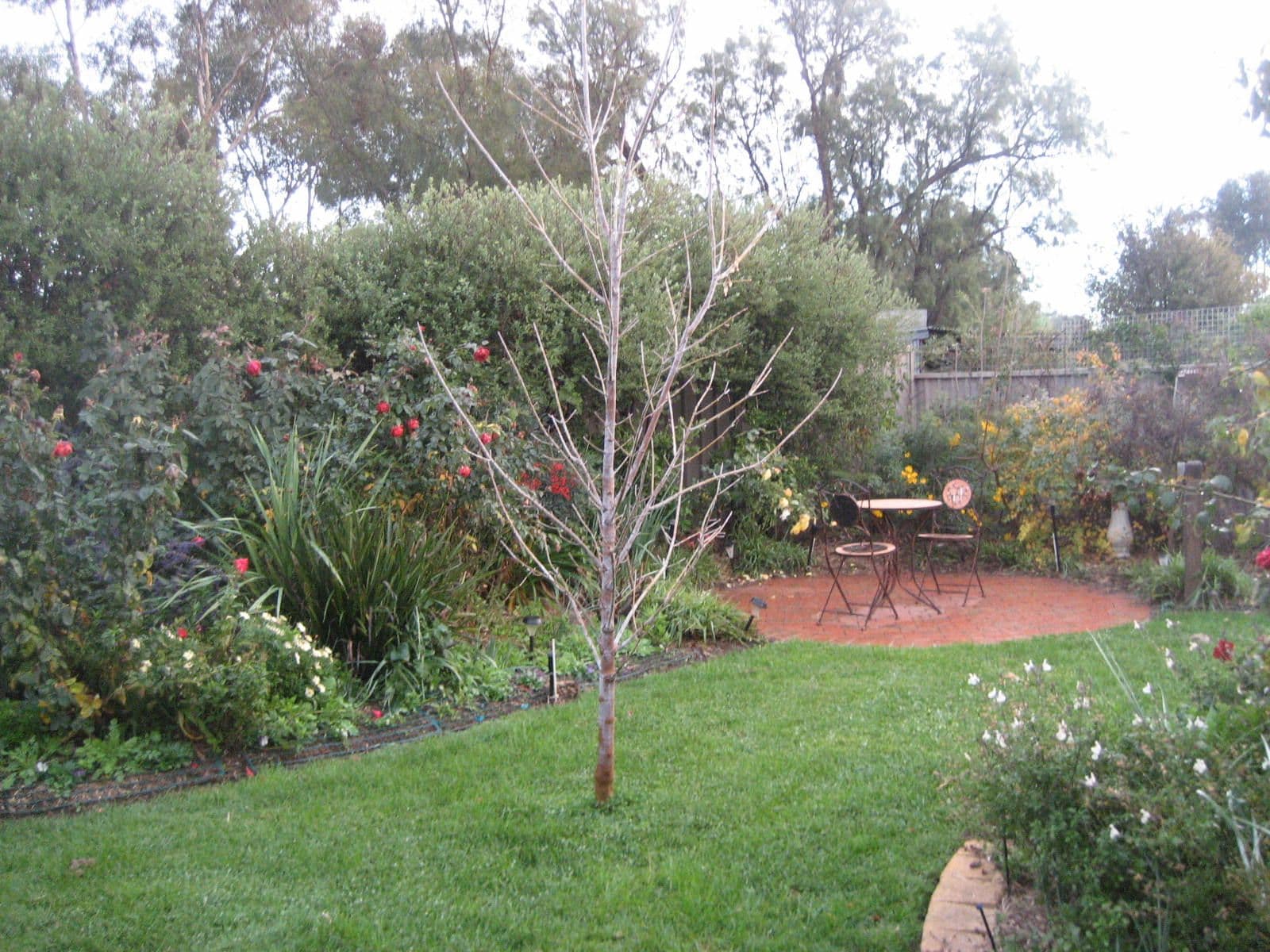 10 Queen Street, ROCHESTER VIC 3561, Rochester - Thumbnail 4