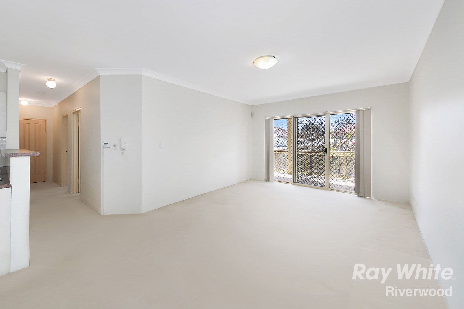 11 Webb Street, Riverwood NSW 2210, Riverwood - Thumbnail 2
