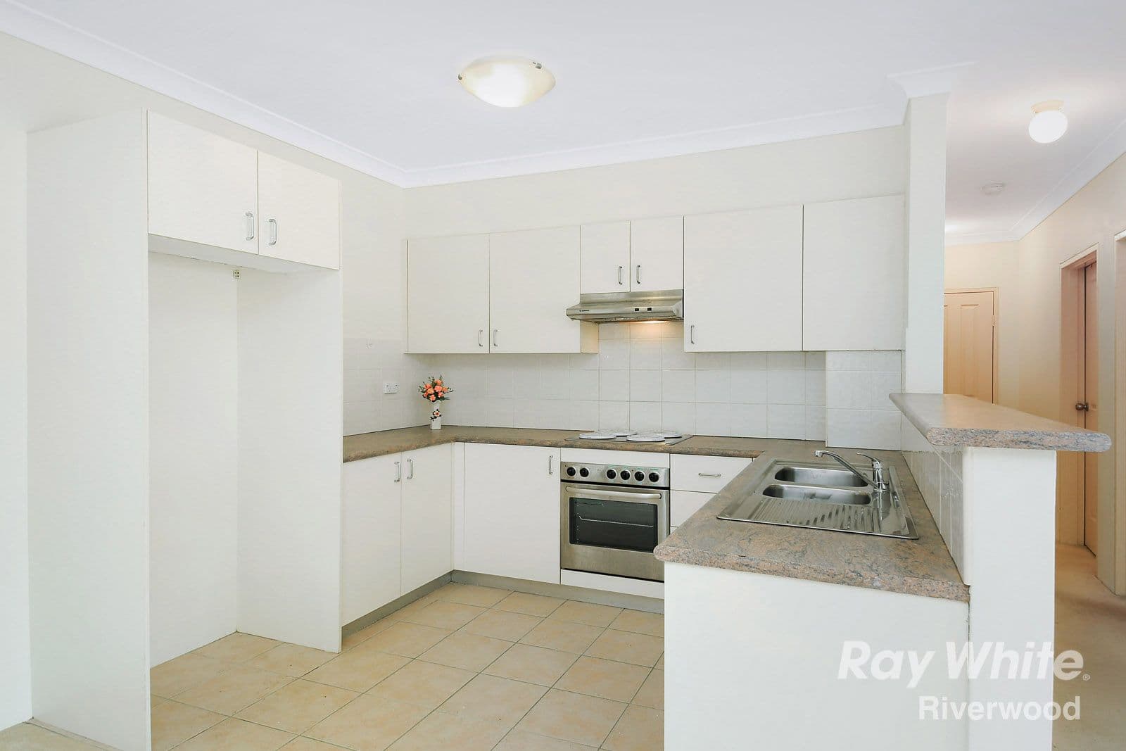 11 Webb Street, Riverwood NSW 2210, Riverwood - Thumbnail 5