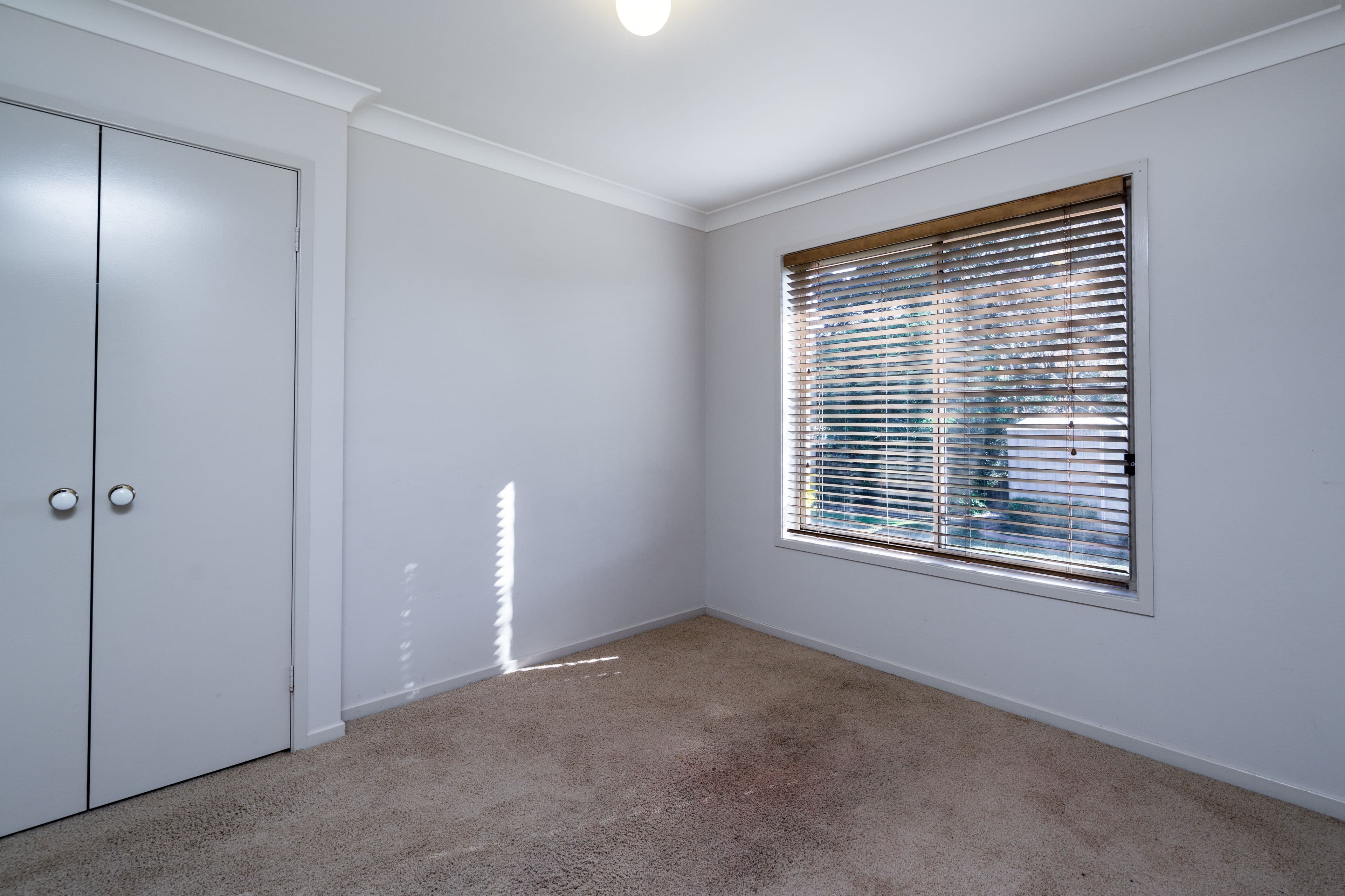 71 Twickenham Drive, Dubbo - Thumbnail 7