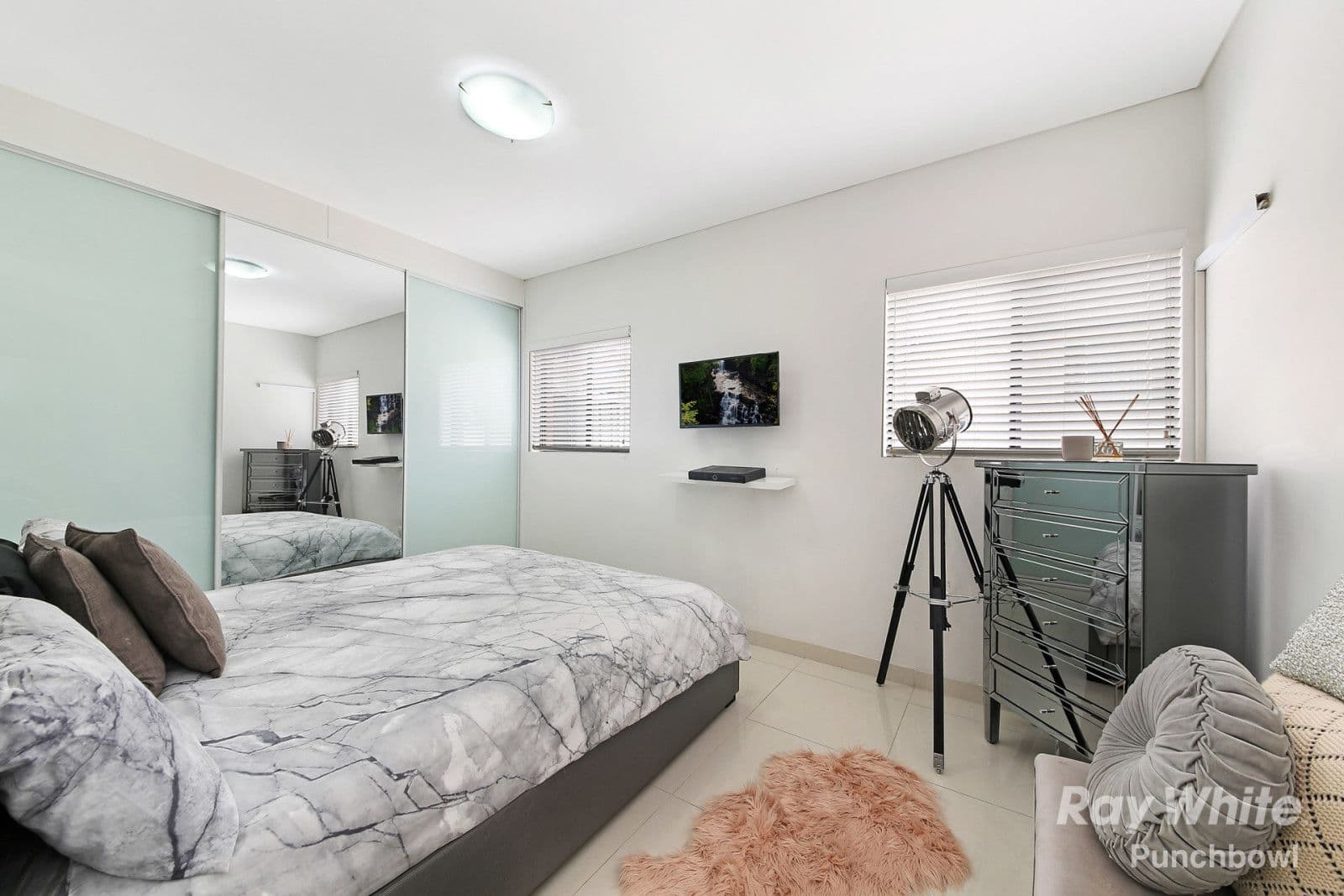 6 Renown Avenue, Wiley Park - Thumbnail 8