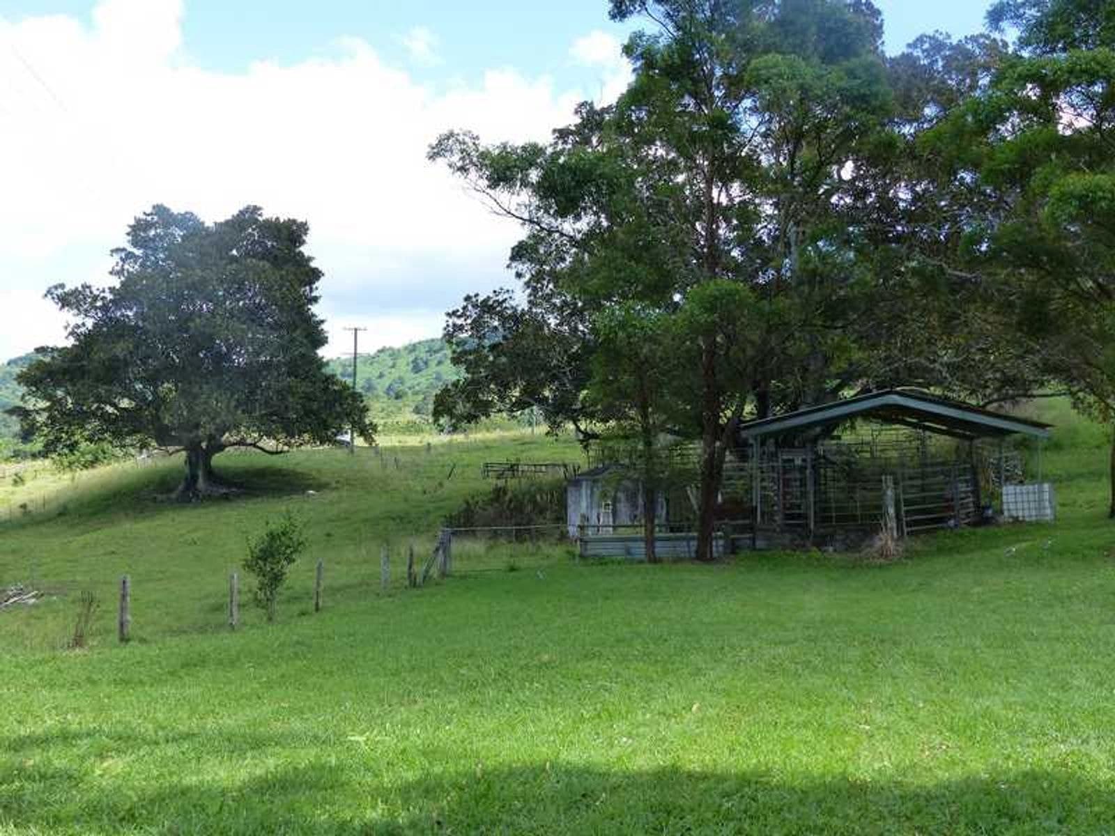17 Town Road Terania Creek, The Channon - Thumbnail 8