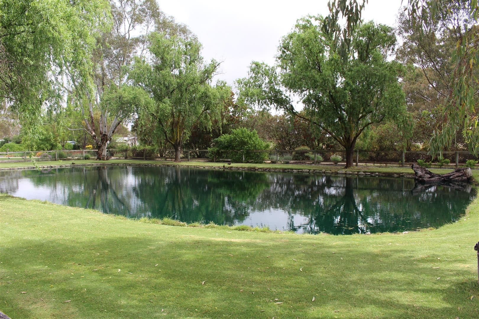 20 Green Street, Bordertown SA 5268, Bordertown - Thumbnail 3