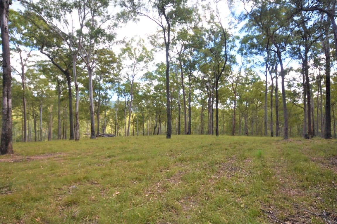 Lot 2 Theodore Road, Kurwongbah QLD 4503, Kurwongbah - Image 1