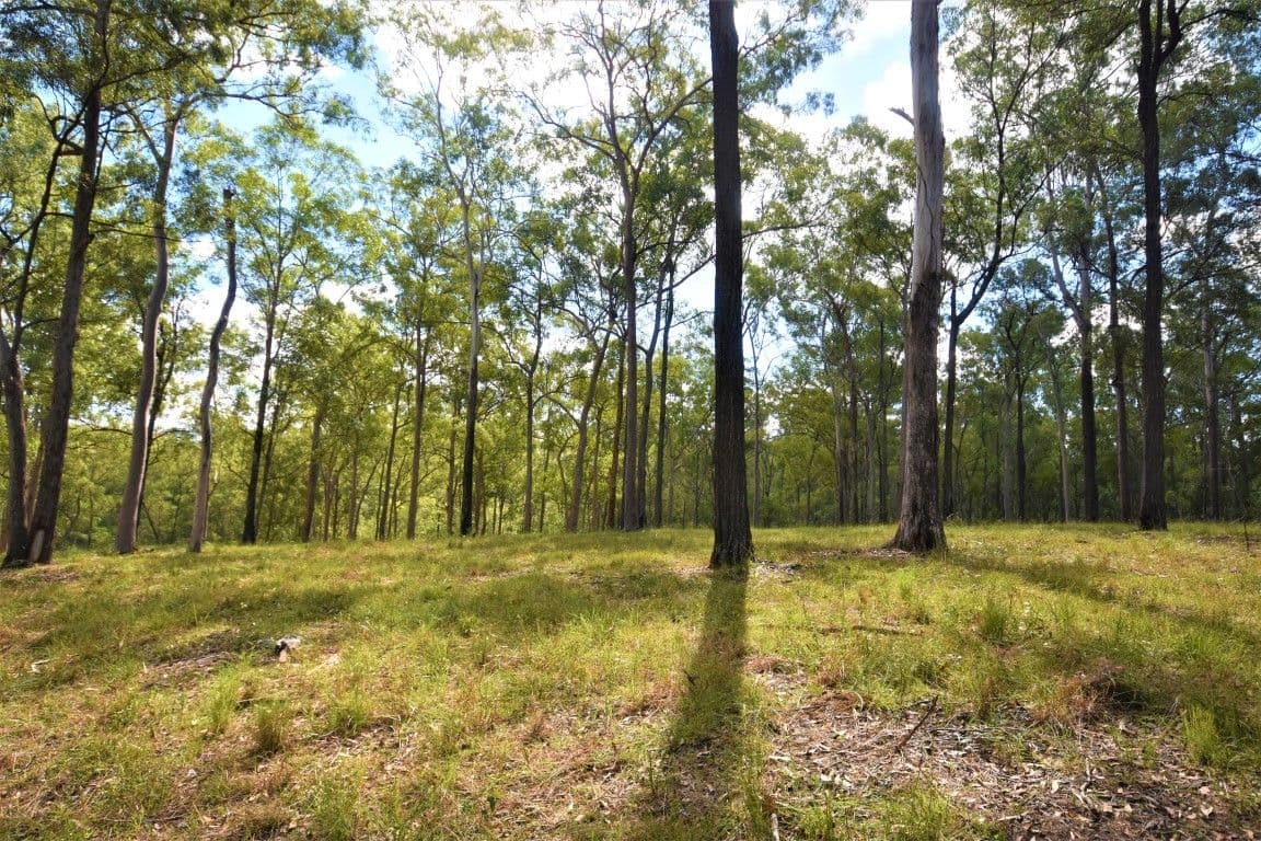 Lot 2 Theodore Road, Kurwongbah QLD 4503, Kurwongbah - Thumbnail 2