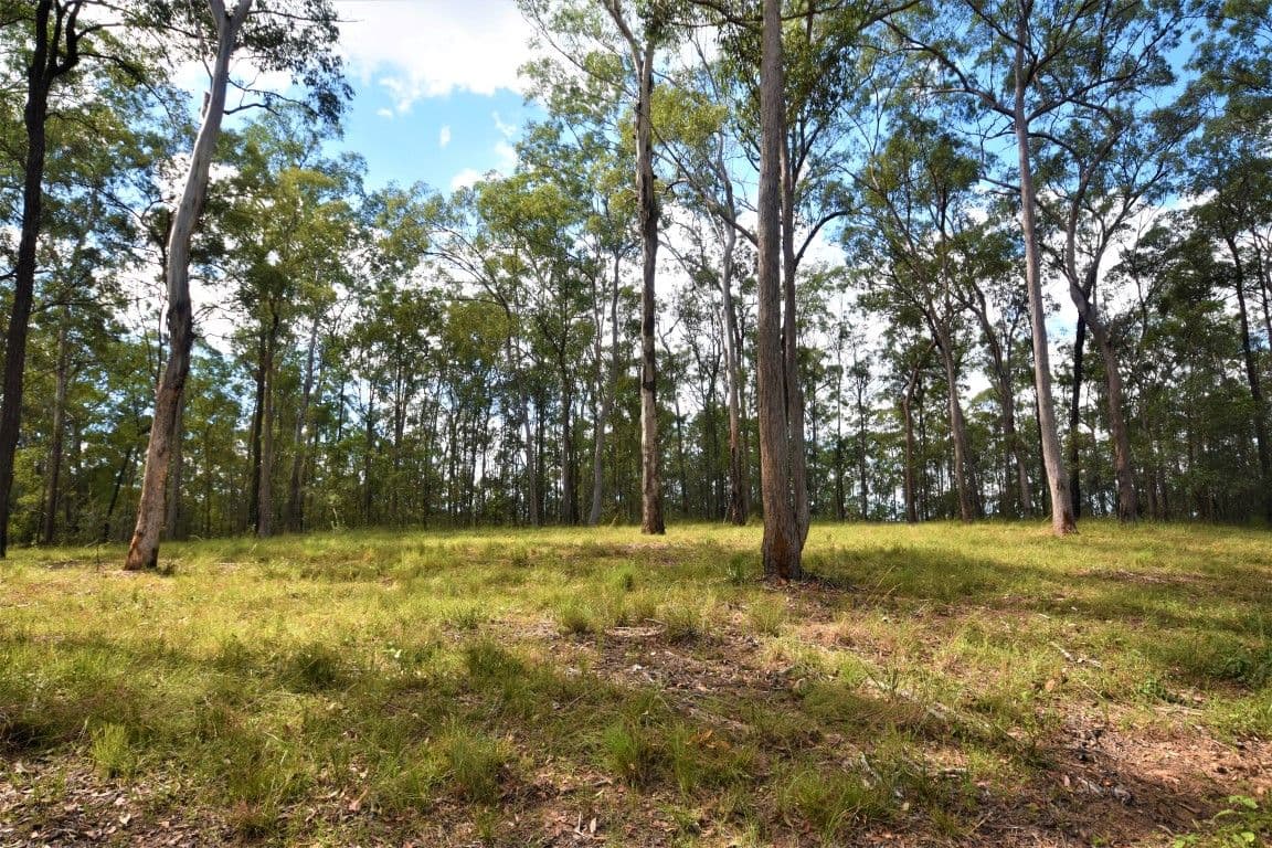 Lot 2 Theodore Road, Kurwongbah QLD 4503, Kurwongbah - Thumbnail 3