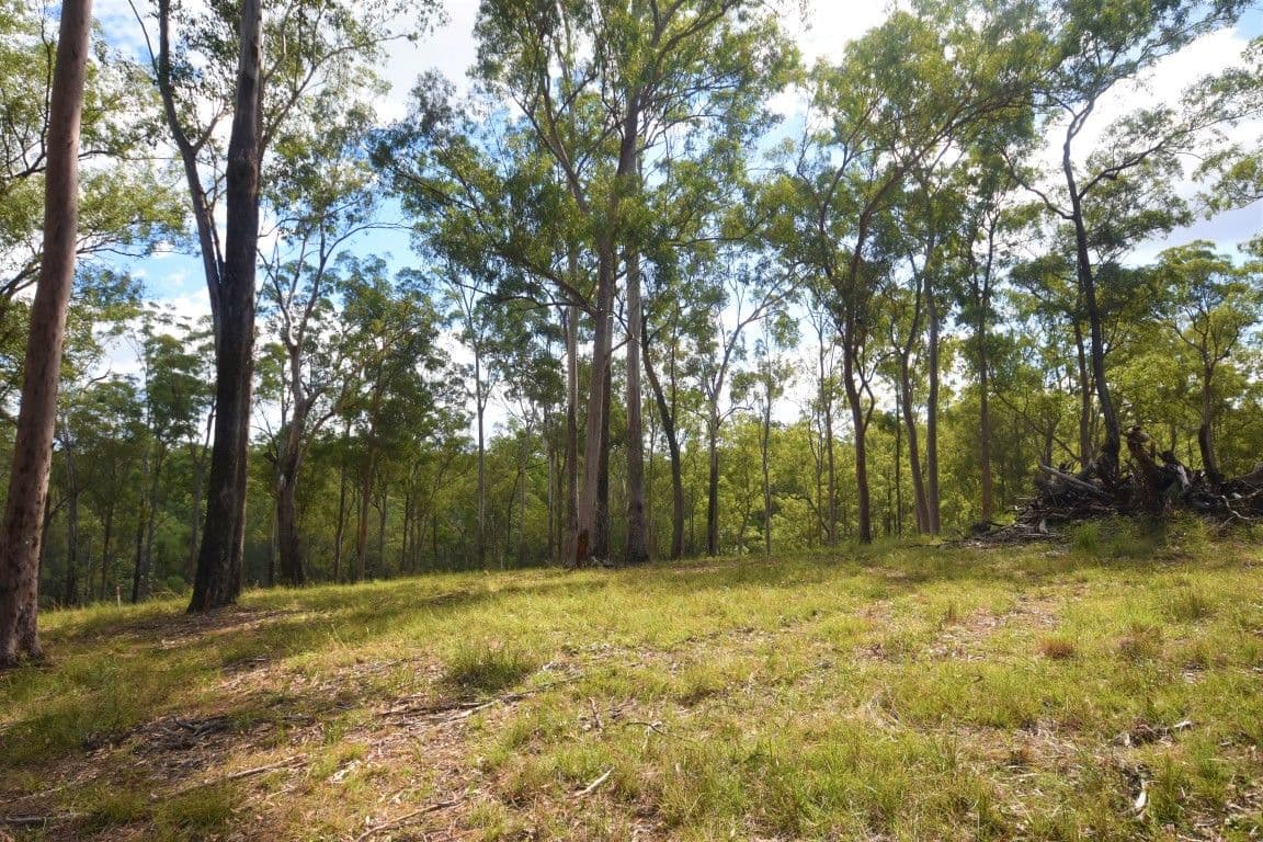 Lot 2 Theodore Road, Kurwongbah QLD 4503, Kurwongbah - Thumbnail 4