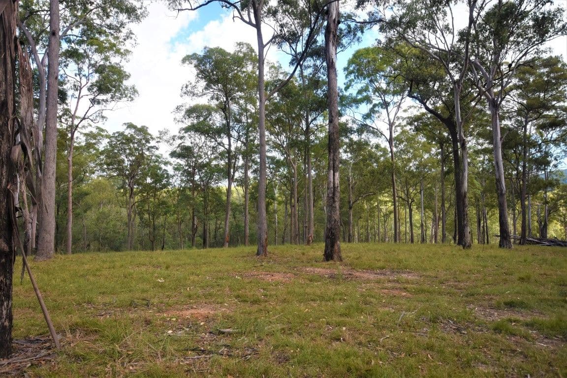 Lot 2 Theodore Road, Kurwongbah QLD 4503, Kurwongbah - Thumbnail 5