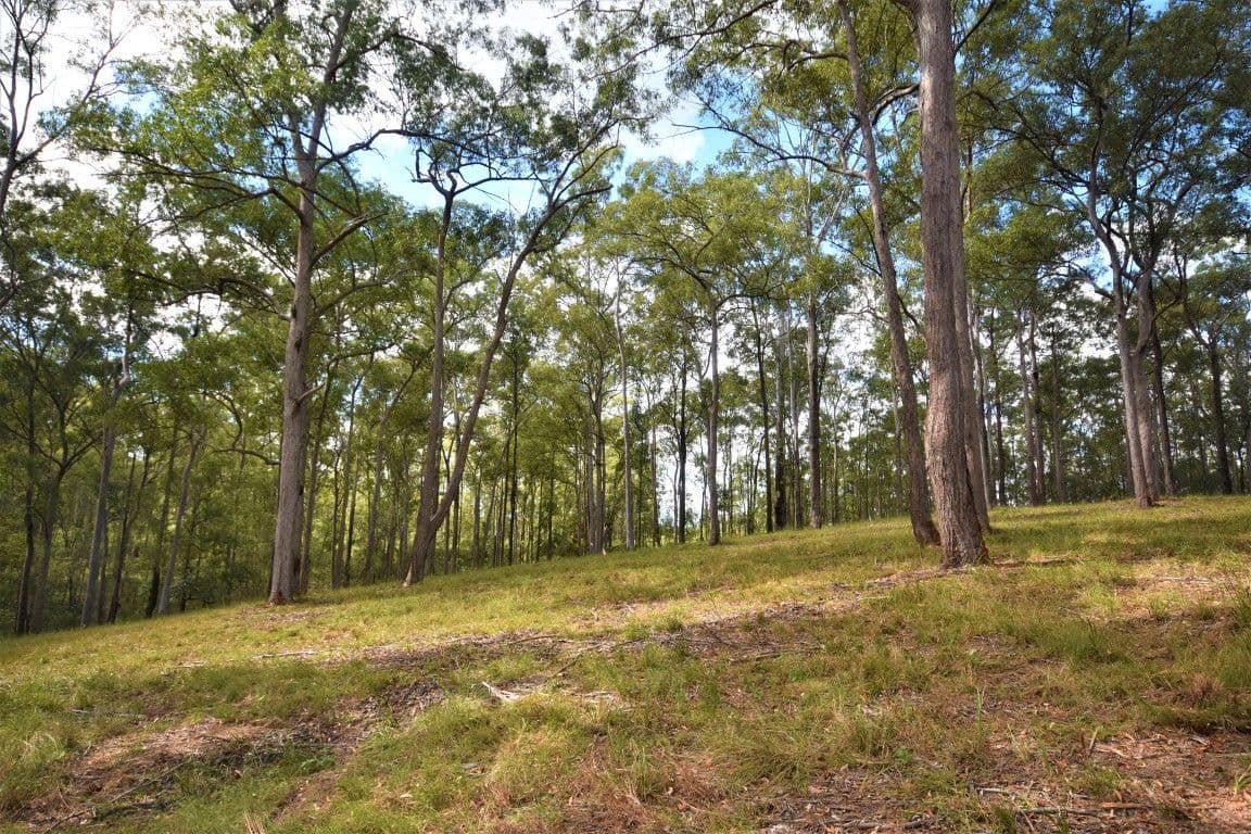 Lot 2 Theodore Road, Kurwongbah QLD 4503, Kurwongbah - Thumbnail 7