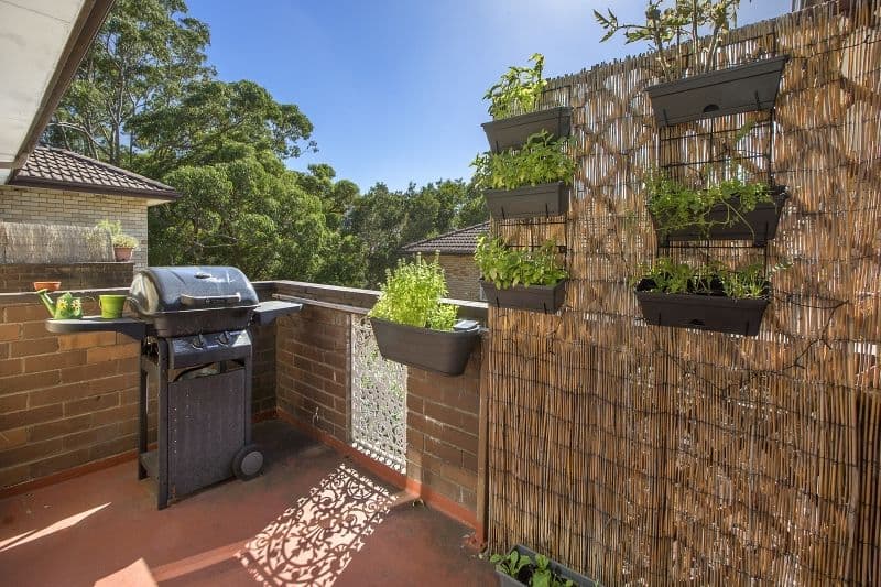 2-6 Abbott Street, Coogee NSW 2034, Coogee - Thumbnail 3