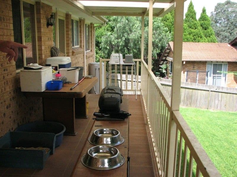 8 Haddon Place, PICTON NSW 2571, Picton - Thumbnail 8