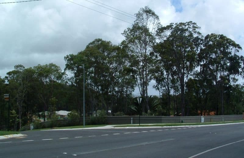 2 Wattlefield Road, LITTLE MOUNTAIN QLD 4551, Little Mountain - Thumbnail 6