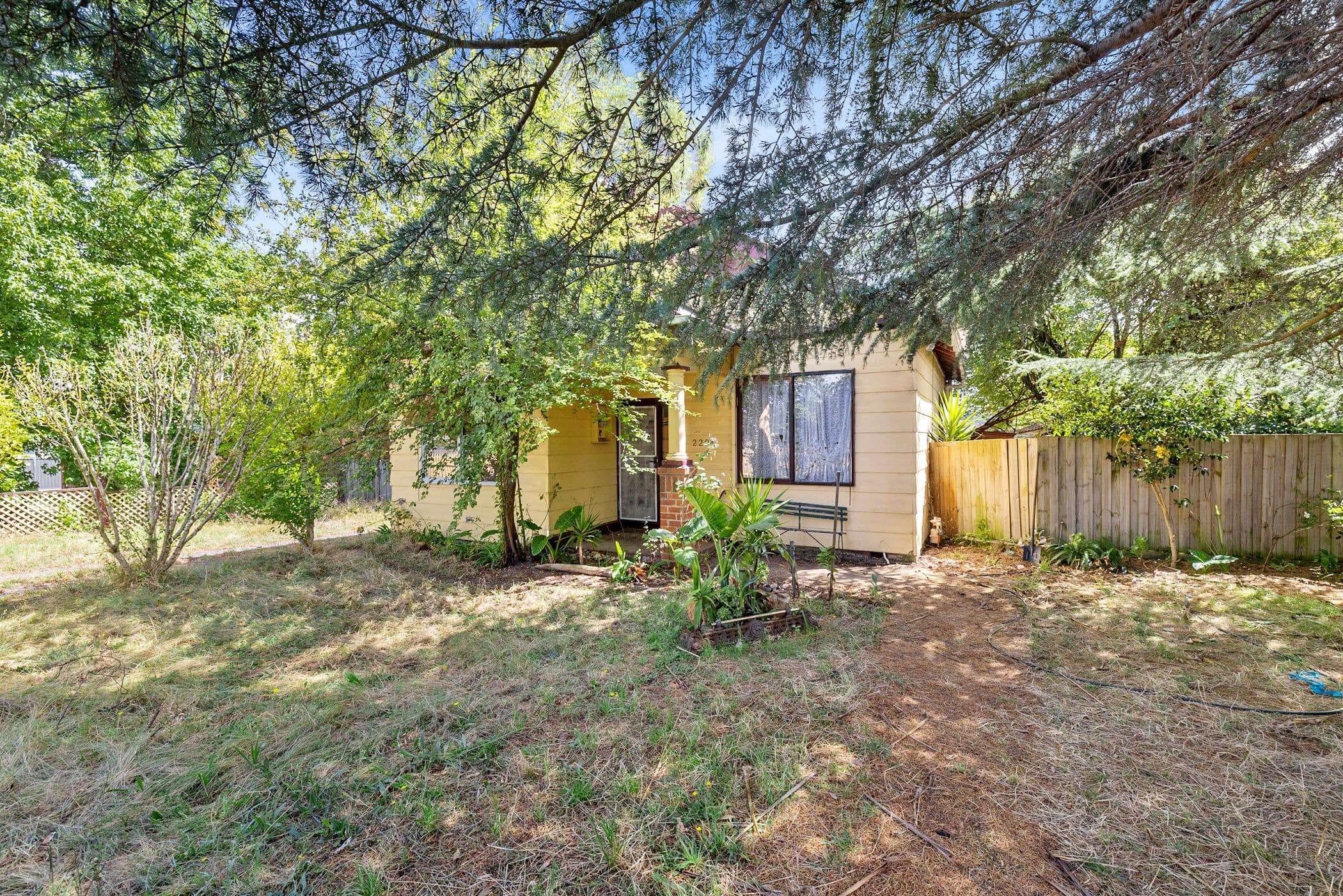 229 Scott Parade, Brown Hill VIC 3350, Brown Hill - Thumbnail 4